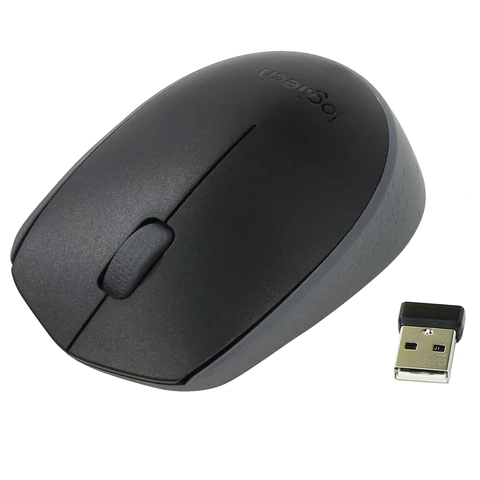 Мышь беспроводная LOGITECH M171, 2 кнопки + 1 колесо-кнопка, оптическая, черная