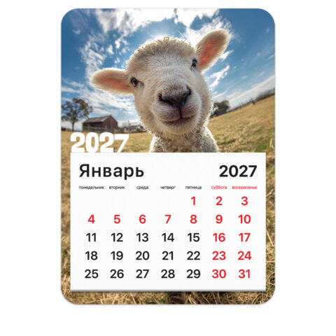 Календарь отрывной на магните на 2027 г., BRAUBERG, 130x180 мм, склейка, "Символ года", 118484