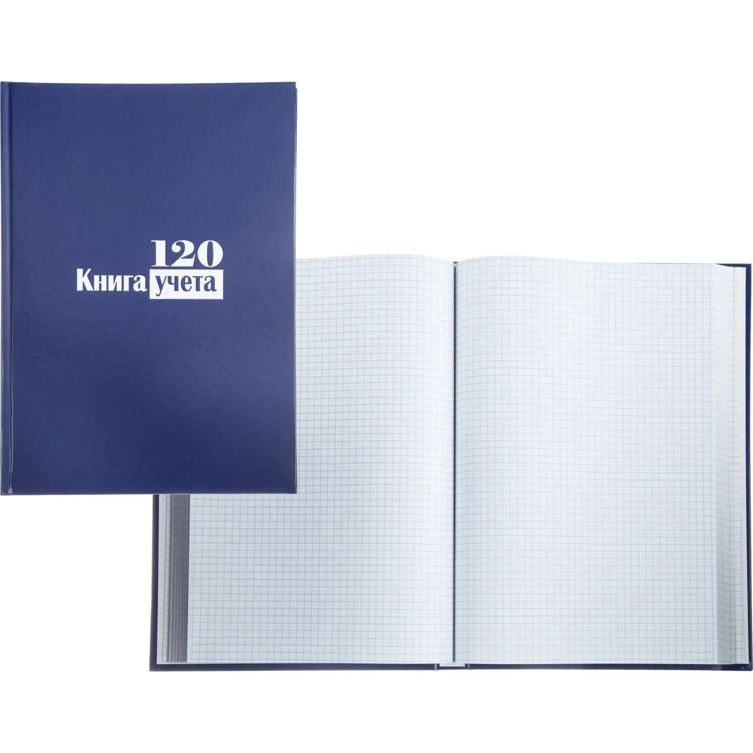 Книга учета -120л. в клетку офсет, обл. бумвинил, 889245К