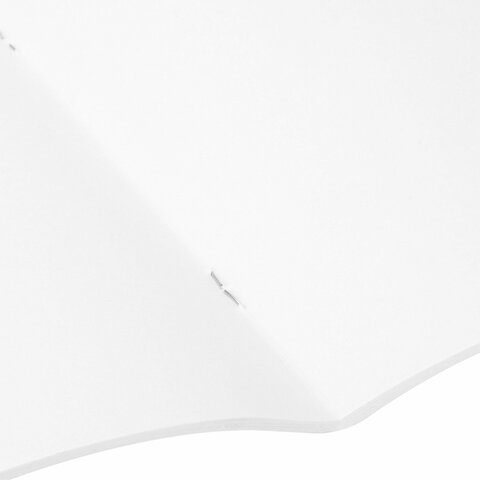 Альбом для рисования А4, 40 листов, скоба, обложка картон, BRAUBERG, 203х288 мм, "Суровые коты" (4 вида), 107115