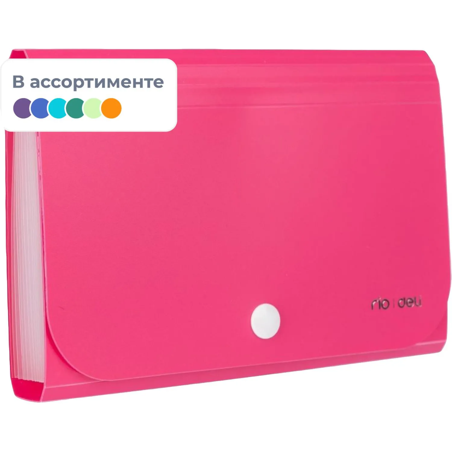 Папка органайзер Vivid на кнопке горизонтА6 12отдел РР 0,6мм  ассортимE5561