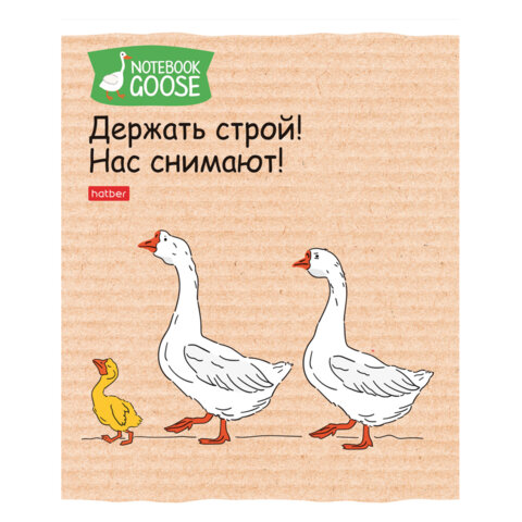 src:https://s3.ibta.ru/goods/405456/6f80f943cfc21787fe2b0960ad6066d9_x.jpg