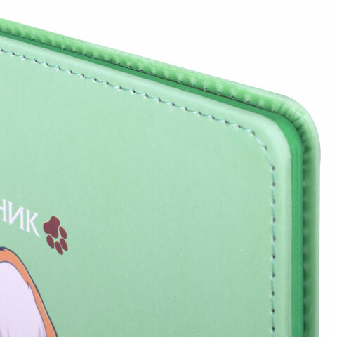 Дневник 1-4 класс 48 л., кожзам (твердая), застежка, ЮНЛАНДИЯ, "Корги в Очках", 106210