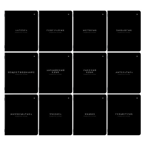Тетради предметные, КОМПЛЕКТ 12 ПРЕДМЕТОВ 48л, пластиковая обложка, BRAUBERG "BLACK MODE", 405541