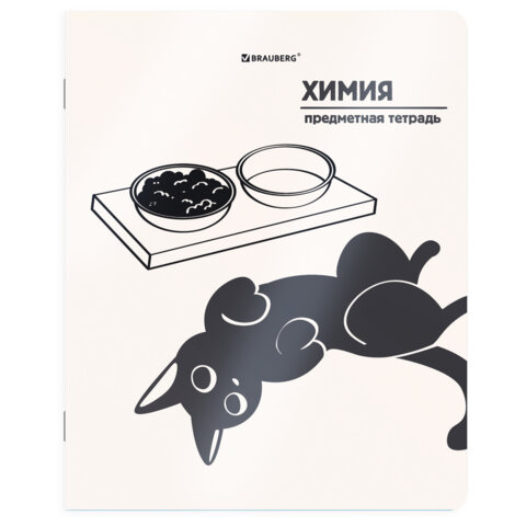 Тетрадь предметная КОТ-НЕПОСЕДА 48л, пластиковая обложка, ХИМИЯ, клетка, подсказ, BRAUBERG, 405538