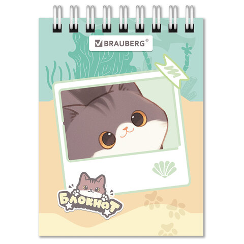 src:https://s3.ibta.ru/goods/116988/11b0c1af9b6cc40f61d8062ebf3432b0_x.jpg