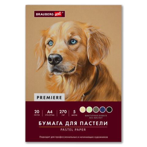 Бумага для пастели ФАКТУРНАЯ А4 в папке, 20 листов 5 цветов, 270 г/м2, BRAUBERG ART,, 117755