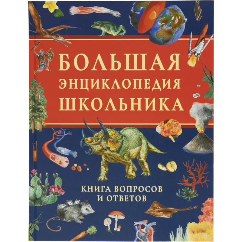 Энциклопедия школьника .Книга вопросов и ответов, 63934