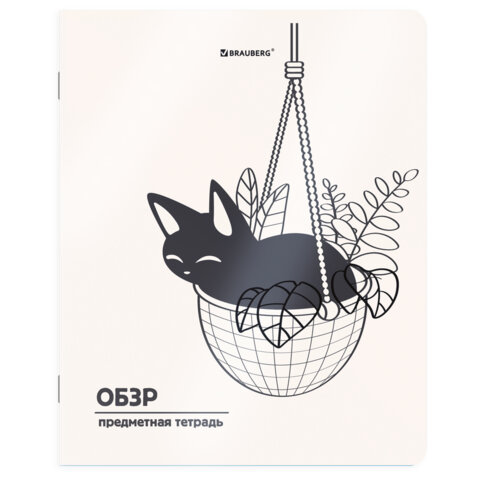 Тетрадь предметная КОТ-НЕПОСЕДА 48л, пластиковая обложка, ОБЗР, клетка, подсказ, BRAUBERG, 405539