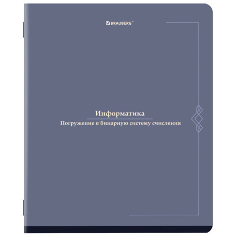 Тетрадь предметная VINTAGE 48 л., SoftTouch, ИНФОРМАТИКА, клетка, подсказ, BRAUBERG, 405154