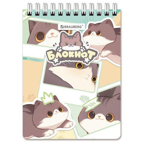 src:https://s3.ibta.ru/goods/116987/48577a5c59a40bfca51282465fcddcf8_x.jpg