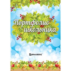 Портфолио и листы-вкладыши к ним