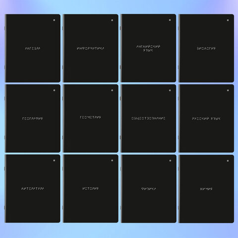 Тетради предметные, КОМПЛЕКТ 12 ПРЕДМЕТОВ, 48 л., матовая ламинация, BRAUBERG, "MINIMAL", 404831