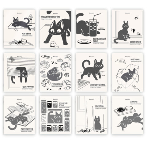Тетради предметные, КОМПЛЕКТ 12 ПРЕДМЕТОВ 48л, пластиковая обложка, BRAUBERG "КОТ-НЕПОСЕДА", 405542