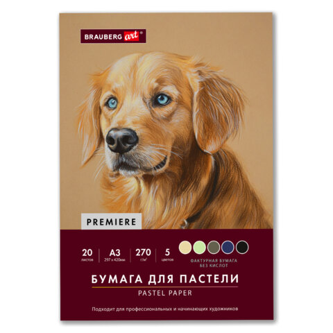 Бумага для пастели ФАКТУРНАЯ А3 в папке, 20 листов 5 цветов, 270 г/м2, BRAUBERG ART,, 117756