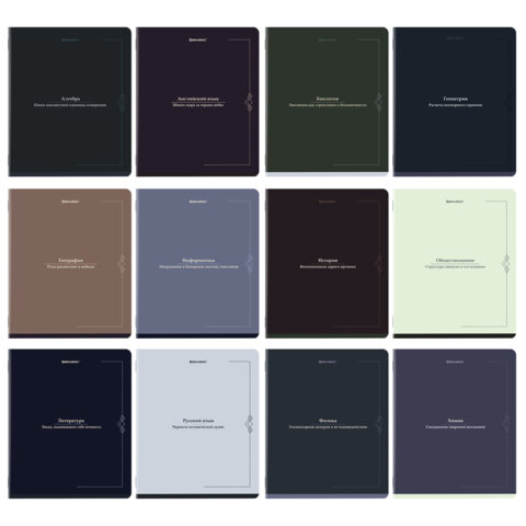 Тетради предметные, КОМПЛЕКТ 12 ПРЕДМЕТОВ, 48 л., SoftTouch, BRAUBERG "VINTAGE", 405183