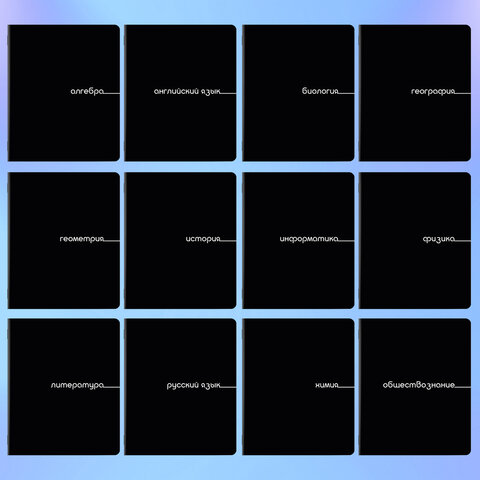 Тетради предметные, КОМПЛЕКТ 12 ПРЕДМЕТОВ, 48 л., обложка картон, BRAUBERG "BLACK", 405164