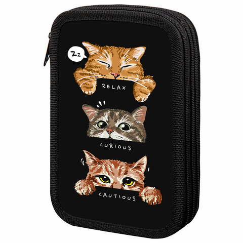 Пенал ПИФАГОР, 3 отделения, ламинированный картон, 19х11 см, "Cool trio", 273486